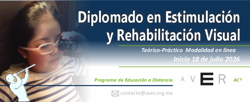 Banner Web Diplomado julio 2026